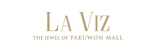 logo laviz new2